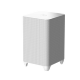 100W Subwoofer
